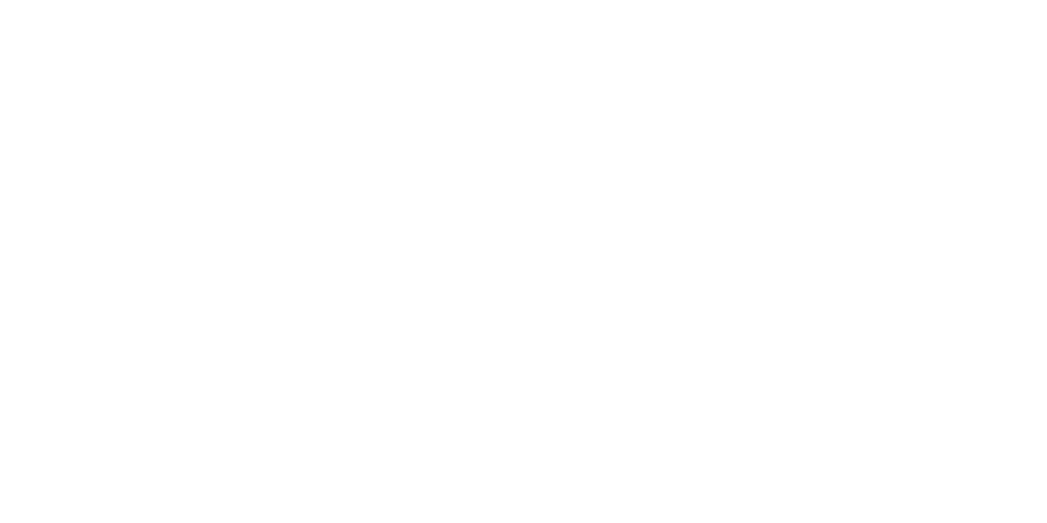 Erasmus Student Network